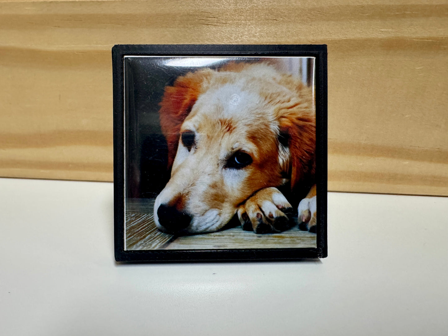 Photo Magnet Frames
