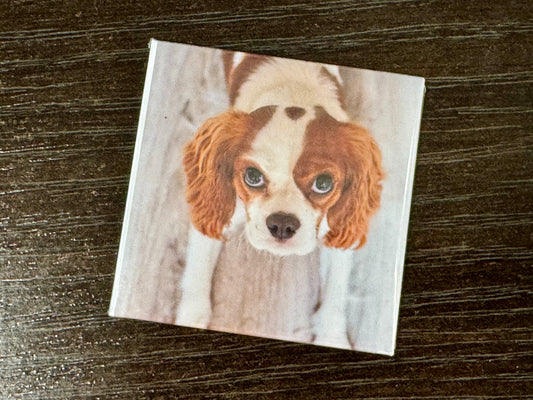 Set of 9 Custom Photo Magnets – A Memory You Can Hold Onto